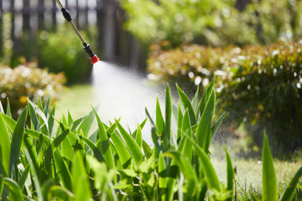 24/7 Emergency Mosquito Control experts in Siesta Shores, TX