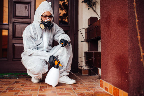 Reliable Mosquito Control contractor in Siesta Shores, TX by Show Me Pest Control